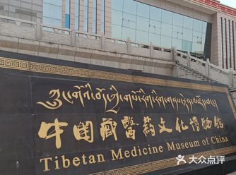 看了国家宝藏，被藏文化的四部医典种草