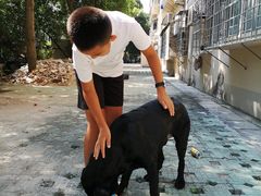 -瑞派康怡24h宠物医院·犬猫医疗中心·微创绝育(瑞景分院)