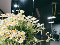-ALIV WELLNESS运动健身(浦东大道店)