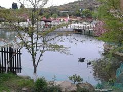 -白马涧龙池景区