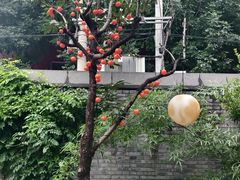 -庐灶江南·江南菜·四合院Bistro(东直门雍和宫·原华侨宾馆店)