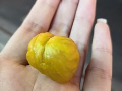 -阿男野栗王(金门路店)