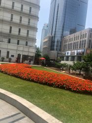 -中国福利会国际和平妇幼保健院(徐汇院区)
