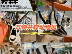 -成都银泰城