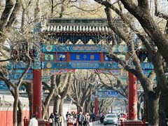 -北京国子监胡同