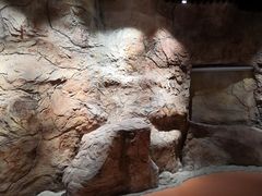 -迪庆藏族自治州博物馆