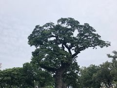 -圣佩德罗堡