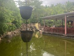 -西双版纳洲际度假酒店-曼霖轩中餐厅