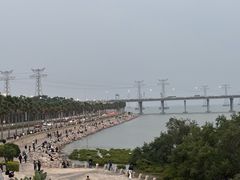 -宝安西湾红树林湿地公园