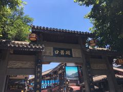 -胖娃古镇鸡杂(磁器口总店)