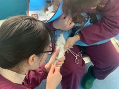 -顺强宠物诊所·狂犬免疫·夜诊·骨科(嘉定店)