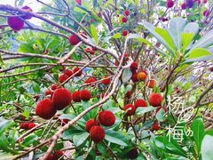 -楠溪江风景名胜区