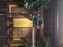 那家小馆(中关村店)-那家小馆•北京菜•烤鸭(中关村店)