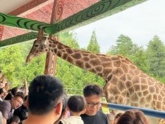 -贵州森林野生动物园