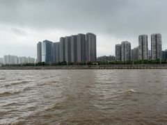 -观澳平台