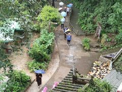 -峨眉山风景名胜区