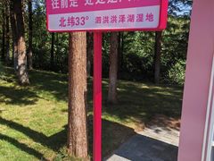 -泗洪洪泽湖湿地景区