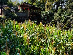 -塔川景区
