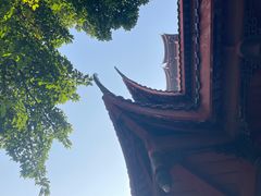 -塔子山公园
