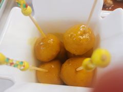 手打潮州咖喱鱼蛋-粤式轩广东茶餐厅(草市街店)