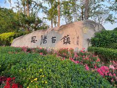 -恩阳古镇
