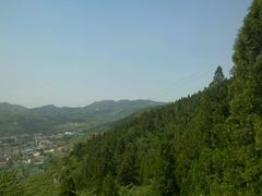 -原山国家森林公园