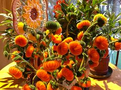 -月亮眼花园餐厅书吧酒吧