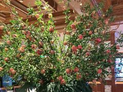 -八府香鸭·啫啫煲(华山路店)