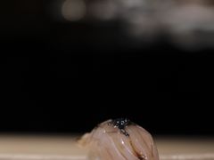 -元熹会席料理