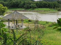 -风云岭森林公园