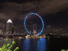-新加坡摩天观景轮