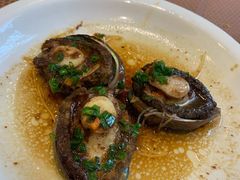 小鲍鱼-海景壹号大酒店(滨湖店)