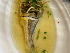 -老洋房花园饭店(绍兴路店)