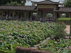 -广州莲花山旅游区