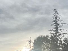 -魔指印象(西藏旗舰店)