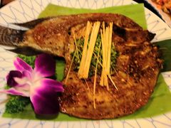 -紫滇源云南生态菜(丹凤街店)