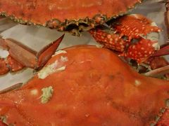 android_upload_pic-胶东海鲜大排档(北太平庄店)