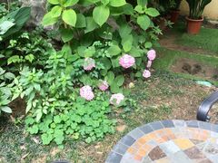 -也枫·小黄楼(南山路旗舰店)