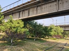 -永定河休闲森林公园