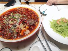 精品毛血旺-天天鱼港·海鲜·鲅鱼水饺·招牌烤鸭(黄骅店)