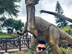 -自贡恐龙博物馆