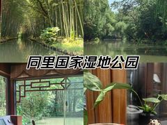 -同里国家湿地公园