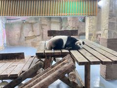 -无锡动物园·太湖欢乐园