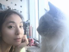 -Cappucimeow猫咪咖啡馆(韦伯时代店)