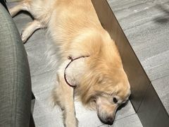 -LA CREPERIE BRETONNE布列塔尼法式餐厅(天童北路店)