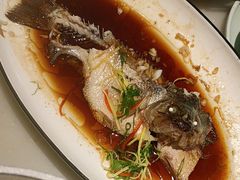 -佬麻雀·剁椒鱼头(京基KK One店)