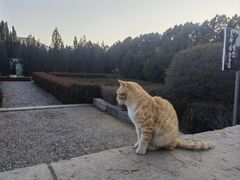 -四门塔风景区
