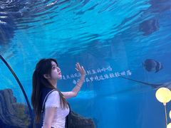 -重庆欢乐海底世界