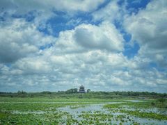 -上海海湾国家森林公园