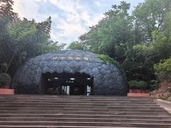 -中国西峡恐龙遗迹园